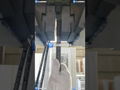 WAW-300Bの電子油圧サーボ自在継手の試験機のための卸値